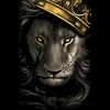 lionking727